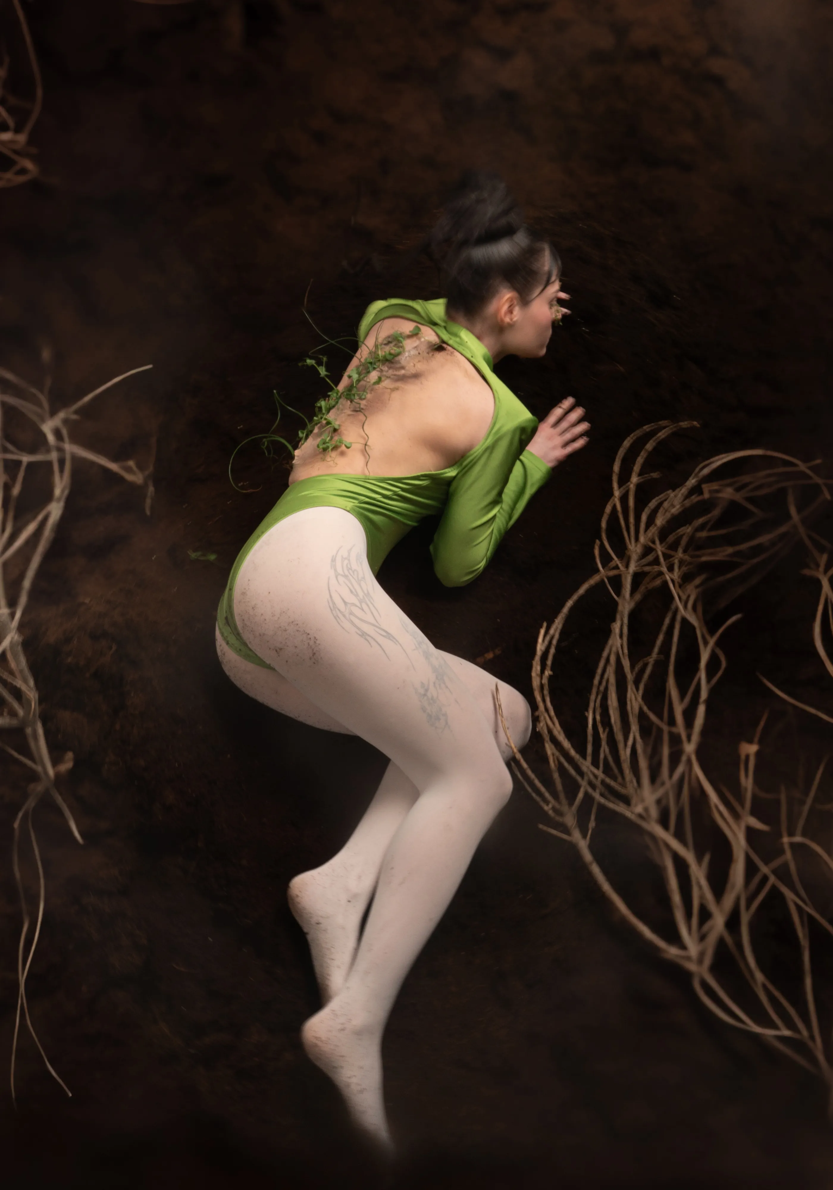 The Body in Flux, IV (2025)